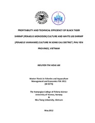 Master thesis cross cultural management
